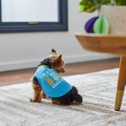 Frisco I'm A Little Eggs-tra Dog & Cat T-Shirt -Pet Cat Shop 300646 PT5. AC SS1800 V1641542509