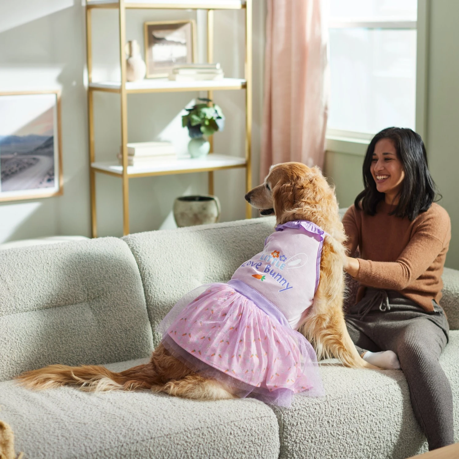 Frisco Love Bunny Dog & Cat Dress 6 Frisco Love Bunny Dog & Cat Dress - Image 6