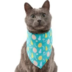 Frisco Spring Easter Egg Dog & Cat Bandana -Pet Cat Shop 300663 PT2. AC SS1800 V1641537094