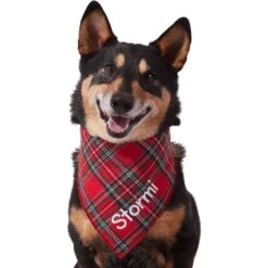 Frisco Tartan Plaid Embroidered Personalized Dog & Cat Bandana -Pet Cat Shop 301157 PT6. AC SS1800 V1628536009