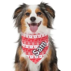 Frisco Fair Isle Personalized Dog & Cat Bandana -Pet Cat Shop 301357 PT6. AC SS1800 V1628100112