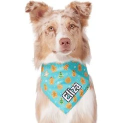 Frisco Gingerbread Cookie Personalized Dog & Cat Bandana 14 Frisco Gingerbread Cookie Personalized Dog & Cat Bandana -Pet Cat Shop 301361 PT6. AC SS1800 V1628100109