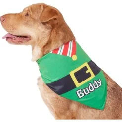 Frisco Santa's Favorite Elf Personalized Dog & Cat Bandana -Pet Cat Shop 301369 PT6. AC SS1800 V1628100146