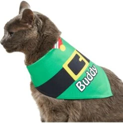 Frisco Santa's Favorite Elf Personalized Dog & Cat Bandana -Pet Cat Shop 301369 PT7. AC SS1800 V1628100114