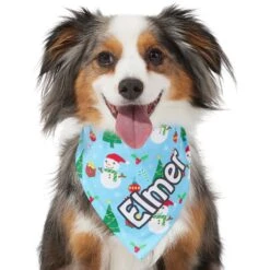 Frisco Snowman & Presents Personalized Dog & Cat Bandana 14 Frisco Snowman & Presents Personalized Dog & Cat Bandana -Pet Cat Shop 301373 PT6. AC SS1800 V1628100374