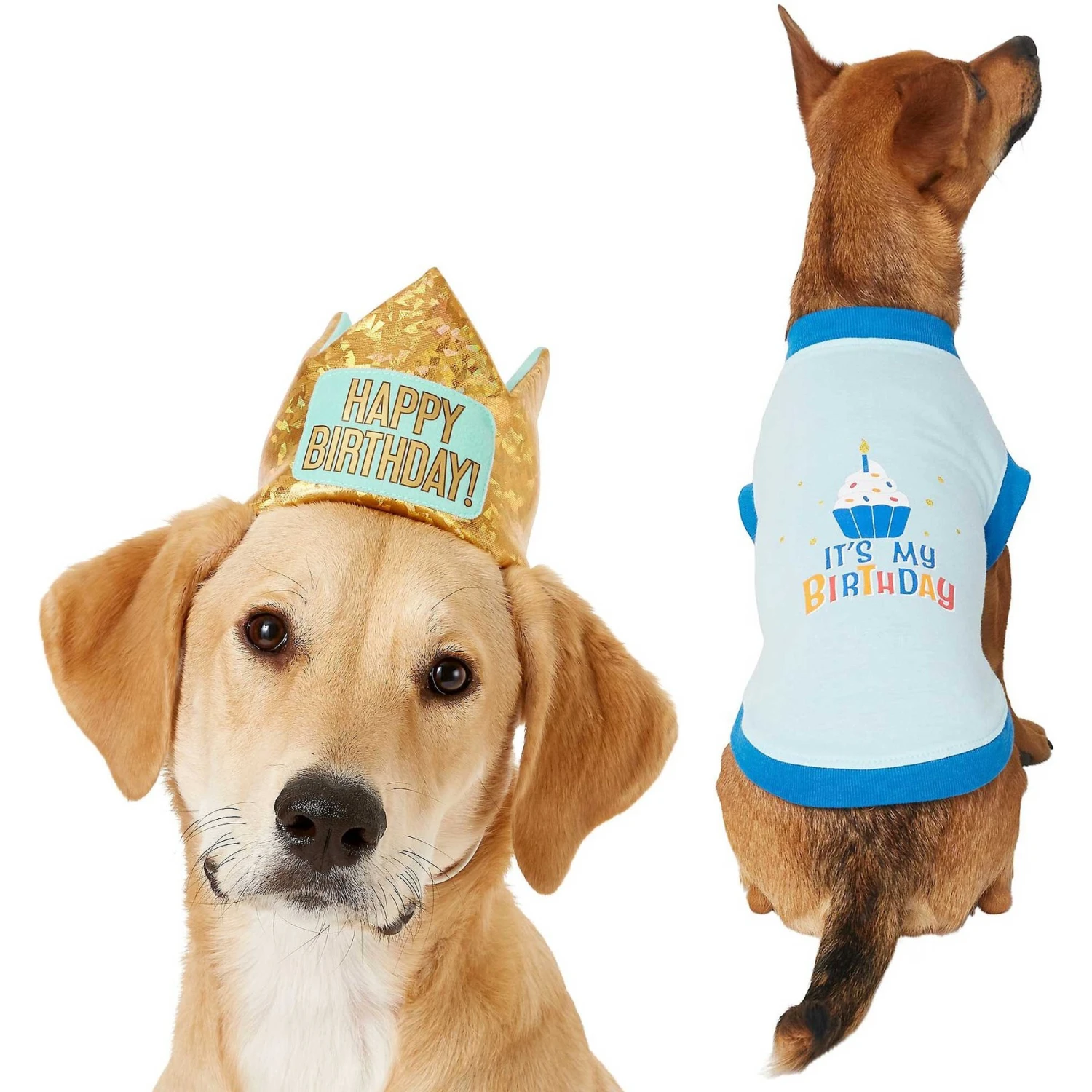Frisco Happy Birthday Dog & Cat Crown & Frisco It's My Birthday & Cat T-Shirt 1 Frisco Happy Birthday Dog & Cat Crown & Frisco It's My Birthday & Cat T-Shirt