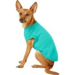 Frisco Basic Dog & Cat T-Shirt & Frisco Dog & Cat Basic Hoodie -Pet Cat Shop 302680 PT3. AC SS1800 V1633065105