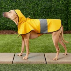 Frisco Lightweight Rainy Days Dog Raincoat & Frisco Lightweight Flamingo Dog Raincoat -Pet Cat Shop 302828 PT4. AC SS1800 V1623042144