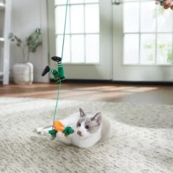 Frisco St. Patrick's Leprechaun Teaser Wand Cat Toy With Catnip 6 Frisco St. Patrick's Leprechaun Teaser Wand Cat Toy With Catnip -Pet Cat Shop 303104 PT3. AC SS1800 V1641230319