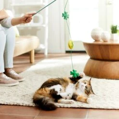 Frisco St. Patrick's Shamrock Teaser Wand Cat Toy With Catnip -Pet Cat Shop 303108 PT3. AC SS1800 V1641230422