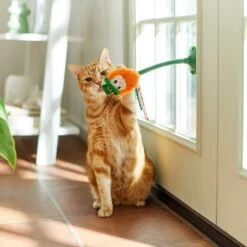 Frisco St. Patrick's Leprechaun Suction Cup Teaser Cat Toy With Catnip -Pet Cat Shop 303110 PT3. AC SS1800 V1641230446