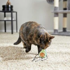 Frisco Cactus Cat Scratching Post & Frisco Dangly Avocado Buddy Plush Cat Toy With Catnip 13 Frisco Cactus Cat Scratching Post & Frisco Dangly Avocado Buddy Plush Cat Toy With Catnip -Pet Cat Shop 303380 PT6. AC SS1800 V1623085642