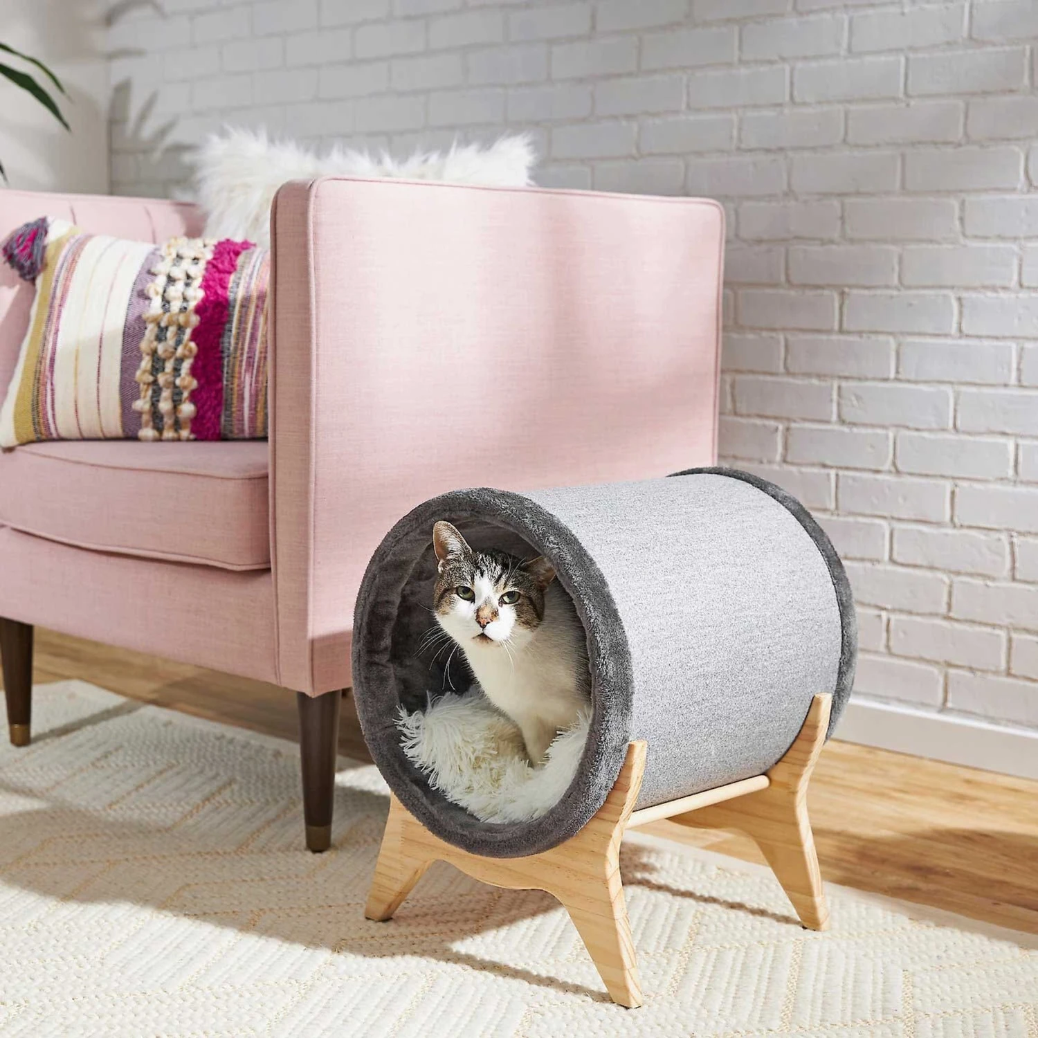 Frisco Modern Round Elevated Cat Bed & Frisco Modern Tunnel Elevated Cat Bed 8 Frisco Modern Round Elevated Cat Bed & Frisco Modern Tunnel Elevated Cat Bed - Image 8