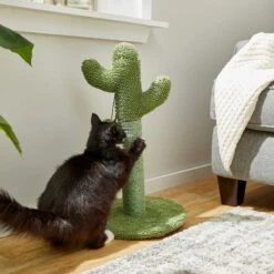Frisco Novelty Unicorn Covered Cat & Dog Bed & Frisco Cactus Cat Scratching Post -Pet Cat Shop 303496 PT7. AC SS1800 V1623062246