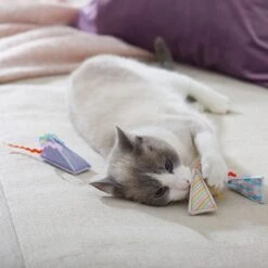 Frisco Spring Party Hat Kickers Cat Toy With Catnip -Pet Cat Shop 306960 PT3. AC SS1800 V1703184746