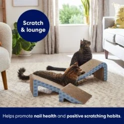 Frisco Nesting Cat Scratcher Toy With Catnip -Pet Cat Shop 308876 PT5. AC SS1800 V1691785301