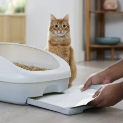 Frisco Cat Litter Pads, Scented -Pet Cat Shop 309828 PT5. AC SS1800 V1675280050