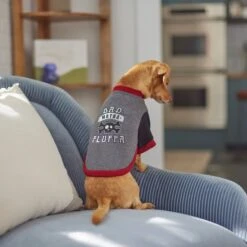 Frisco Bad Motha Fluffa Dog & Cat T-Shirt -Pet Cat Shop 312048 PT8. AC SS1800 V1644446866