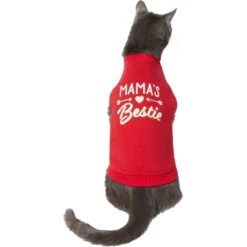 Frisco Mama's Bestie Dog & Cat T-Shirt -Pet Cat Shop 312056 PT2. AC SS1800 V1644425822