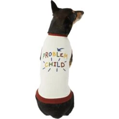Frisco Problem Child Dog & Cat T-Shirt -Pet Cat Shop 312064 PT3. AC SS1800 V1673303532
