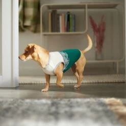 Frisco Tropical Palm Dog & Cat T-Shirt -Pet Cat Shop 312072 PT8. AC SS1800 V1644425897