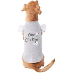 Frisco One Of A Kind Dog & Cat T-Shirt -Pet Cat Shop 312080 PT3. AC SS1800 V1673303002