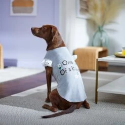 Frisco One Of A Kind Dog & Cat T-Shirt -Pet Cat Shop 312080 PT5. AC SS1800 V1673304060