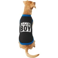 Frisco Mama's Boy Dog & Cat T-Shirt -Pet Cat Shop 312088 PT3. AC SS1800 V1673304117