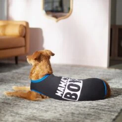 Frisco Mama's Boy Dog & Cat T-Shirt -Pet Cat Shop 312088 PT5. AC SS1800 V1673361675