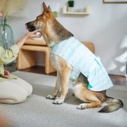 Frisco Green Tie Dye Dog & Cat Dress -Pet Cat Shop 312104 PT8. AC SS1800 V1644424641