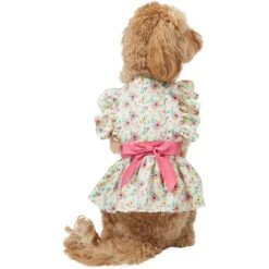 Frisco Dainty Pink Floral Dog & Cat Dress 9 Frisco Dainty Pink Floral Dog & Cat Dress -Pet Cat Shop 312136 PT2. AC SS1800 V1703872208