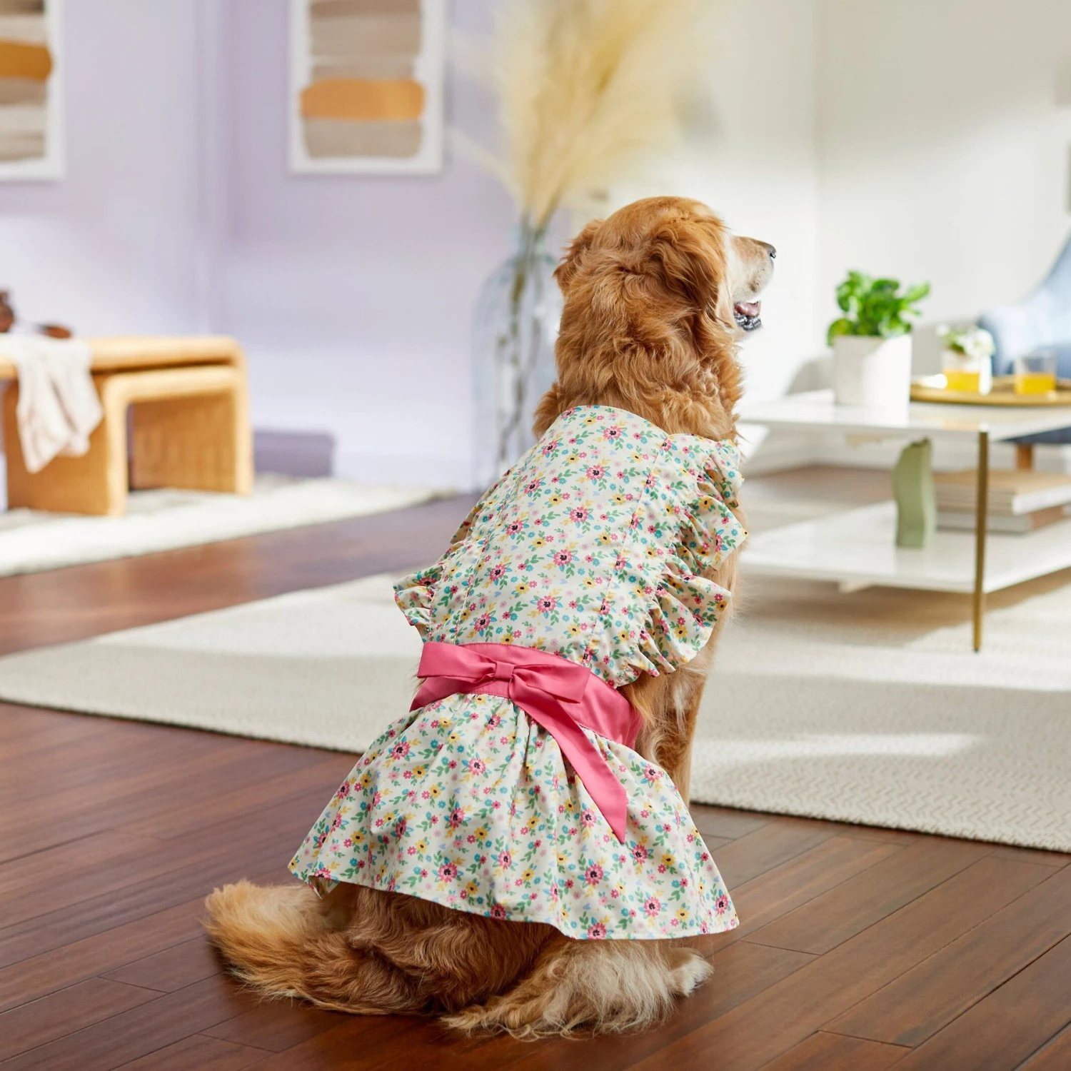 Frisco Dainty Pink Floral Dog & Cat Dress 6 Frisco Dainty Pink Floral Dog & Cat Dress - Image 6