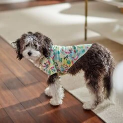 Frisco Flamingo Camp Dog & Cat Shirt -Pet Cat Shop 312176 PT7. AC SS1800 V1673361358