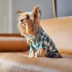Frisco Boho Plaid Dog & Cat Shirt 15 Frisco Boho Plaid Dog & Cat Shirt -Pet Cat Shop 312184 PT8. AC SS1800 V1644524330
