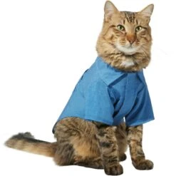 Frisco Chambray Pineapple Dog & Cat Shirt 11 Frisco Chambray Pineapple Dog & Cat Shirt -Pet Cat Shop 312192 PT2. AC SS1800 V1644528879