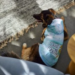 Frisco Just Chillin Dog & Cat Hoodie -Pet Cat Shop 312233 PT8. AC SS1800 V1644881922