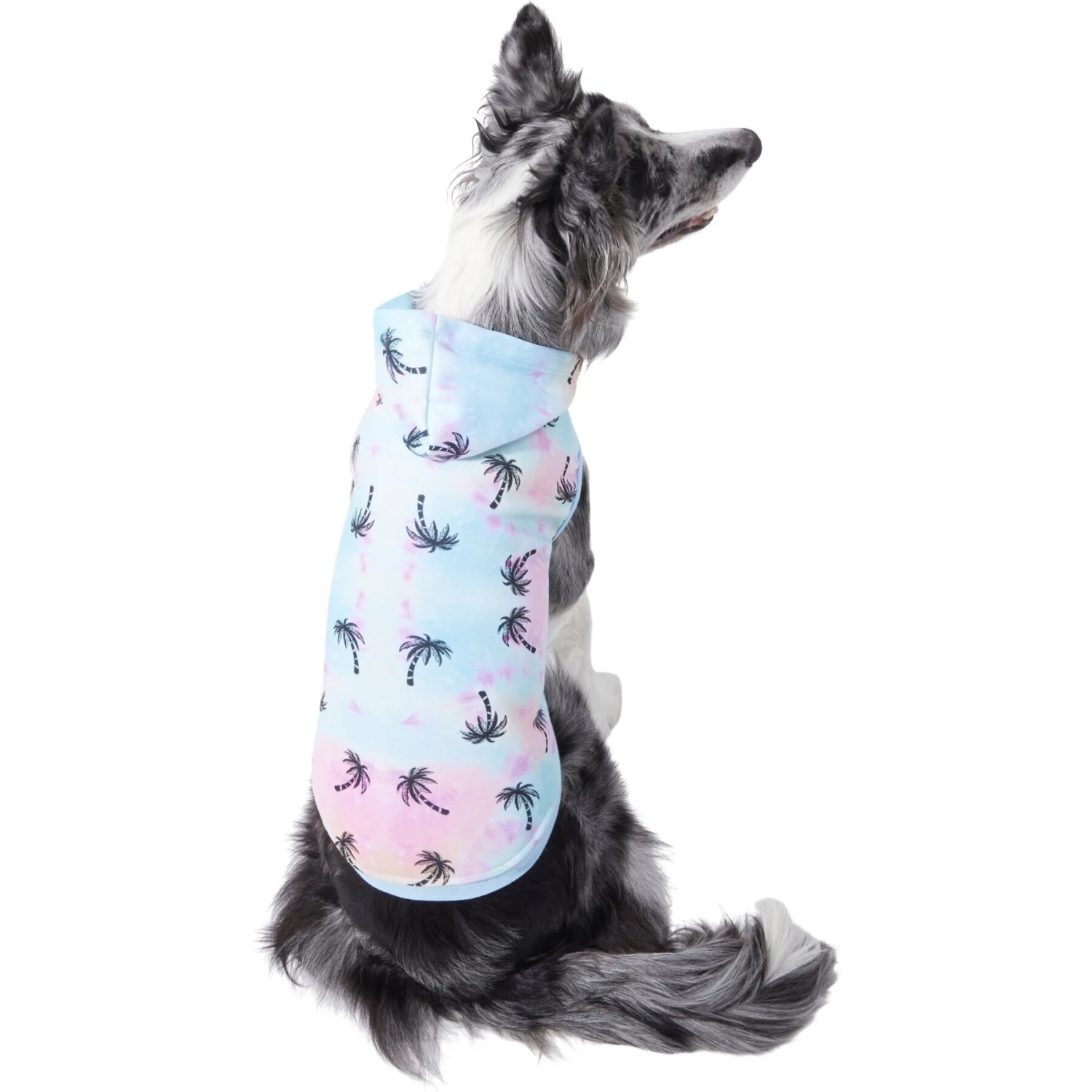 Frisco Palm Tree Dog & Cat Hoodie 1 Frisco Palm Tree Dog & Cat Hoodie