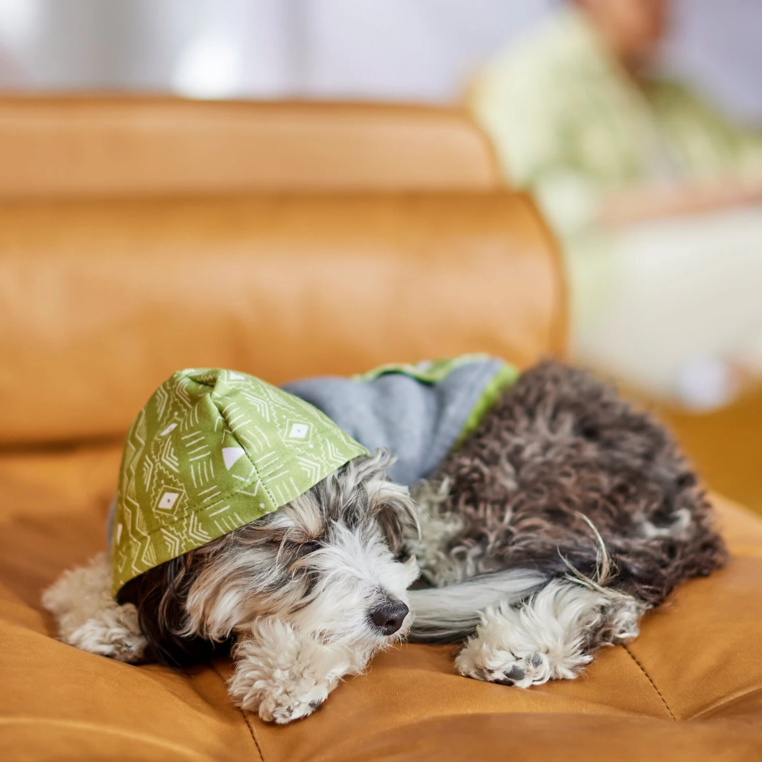 Frisco Green Southwest Dog & Cat Hoodie 7 Frisco Green Southwest Dog & Cat Hoodie - Image 7