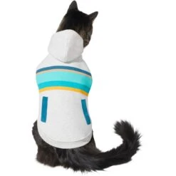 Frisco Striped Dog & Cat Hoodie -Pet Cat Shop 312265 PT2. AC SS1800 V1644881185