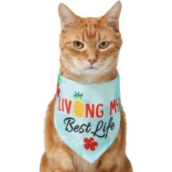 Frisco Living My Best Life Dog & Cat Bandana -Pet Cat Shop 312288 PT2. AC SS1800 V1644884916