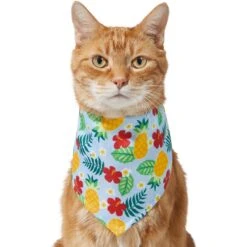 Frisco Hawaiian Pineapple Dog & Cat Bandana -Pet Cat Shop 312300 PT2. AC SS1800 V1644878643