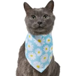 Frisco Daisy Dog & Cat Bandana -Pet Cat Shop 312303 PT2. AC SS1800 V1644883588