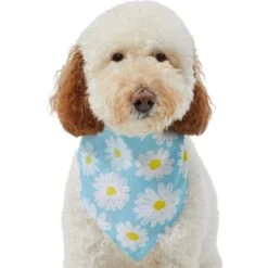 Frisco Daisy Dog & Cat Bandana -Pet Cat Shop 312303 PT3. AC SS1800 V1673302704
