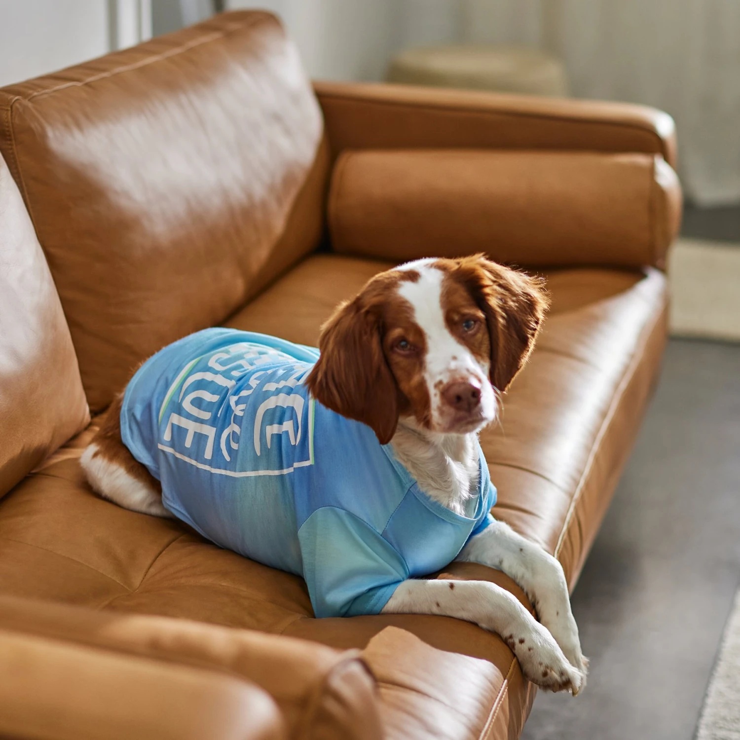 Frisco Peace Love Rescue Dog & Cat T-Shirt 6 Frisco Peace Love Rescue Dog & Cat T-Shirt - Image 6