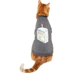 Frisco Birthday Pup Dog & Cat T-Shirt -Pet Cat Shop 315076 PT2. AC SS1800 V1646432513