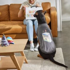 Frisco Birthday Pup Dog & Cat T-Shirt -Pet Cat Shop 315076 PT8. AC SS1800 V1646438210