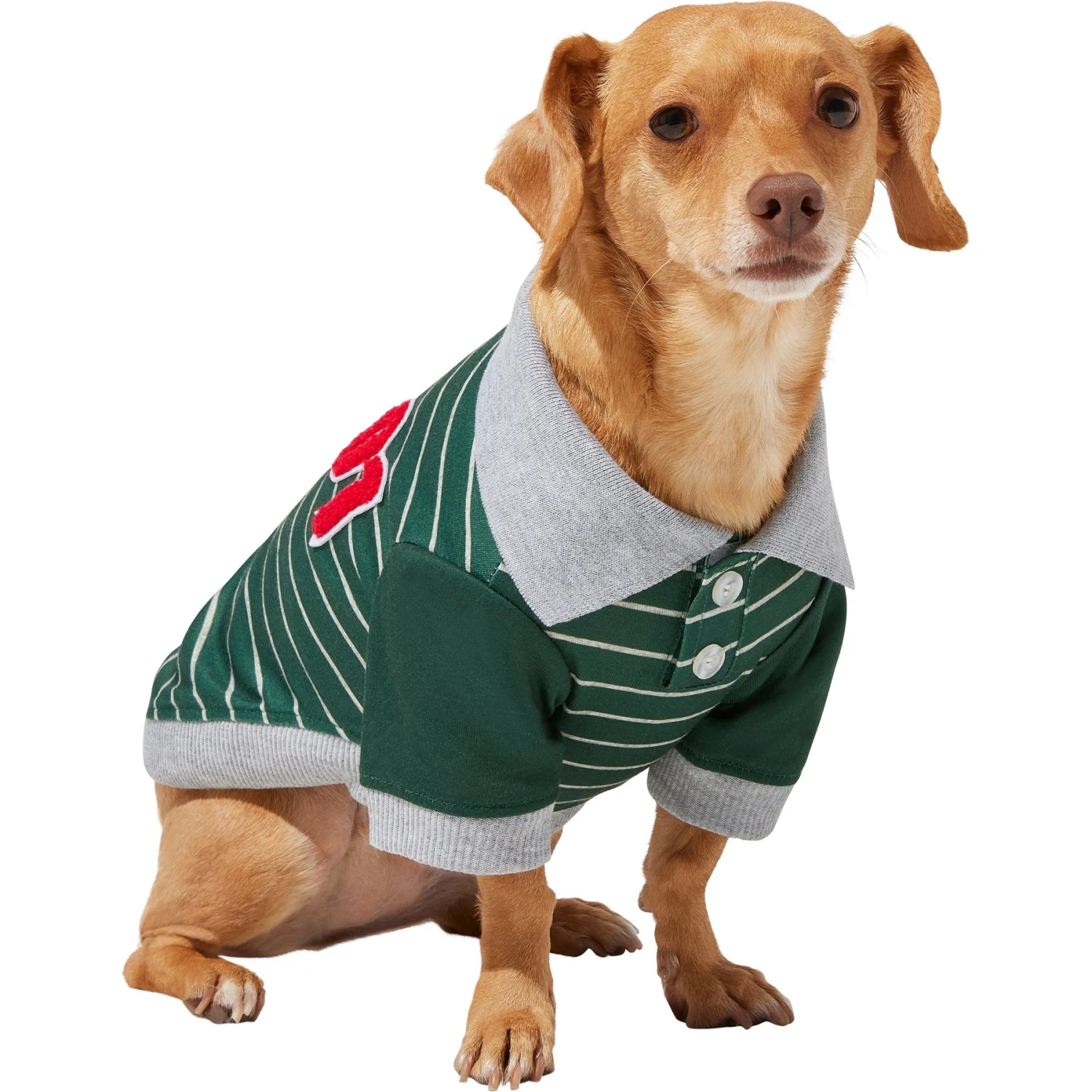 Frisco Green Rugby Dog & Cat Polo Shirt 1 Frisco Green Rugby Dog & Cat Polo Shirt