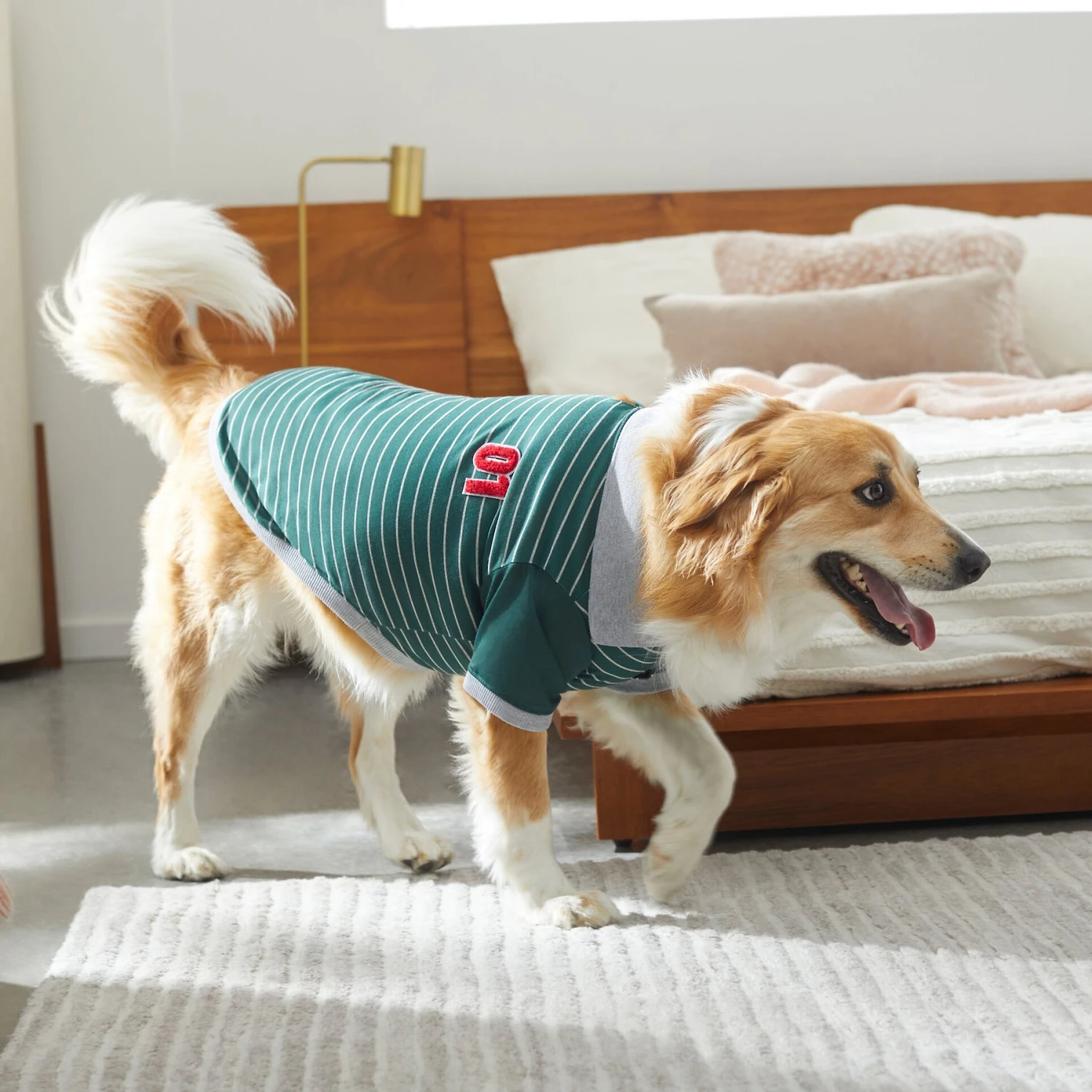 Frisco Green Rugby Dog & Cat Polo Shirt 9 Frisco Green Rugby Dog & Cat Polo Shirt - Image 9