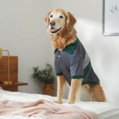 Frisco Green Striped Polo Dog & Cat Shirt 17 Frisco Green Striped Polo Dog & Cat Shirt -Pet Cat Shop 315091 PT8. AC SS1800 V1646434389