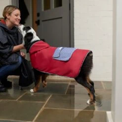 Frisco Lightweight Red Reversible Packable Dog Raincoat -Pet Cat Shop 315109 PT8. AC SS1800 V1646437779